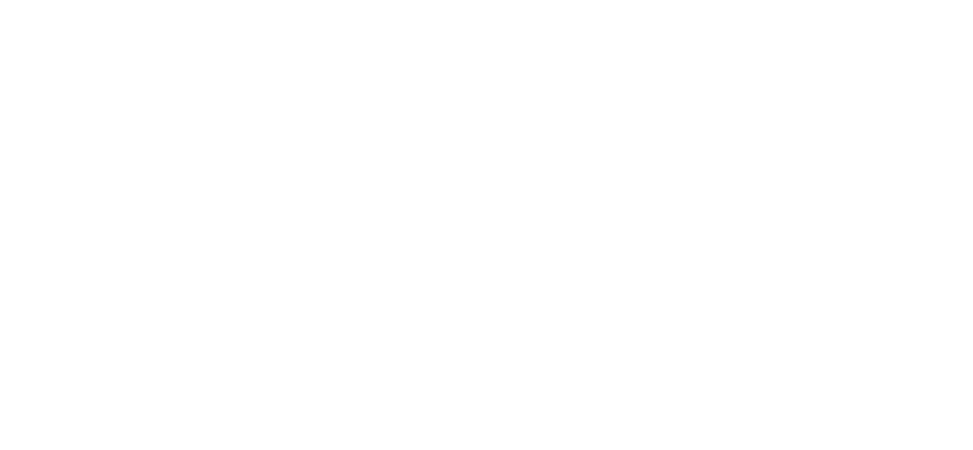 Vargas Consultores